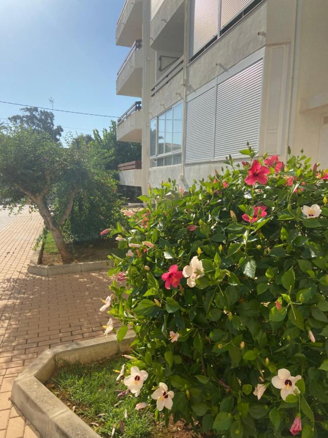 Vistas Al Mar Playa De Los Bovetes Denia Ngoại thất bức ảnh