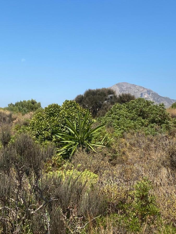 Vistas Al Mar Playa De Los Bovetes Denia Ngoại thất bức ảnh